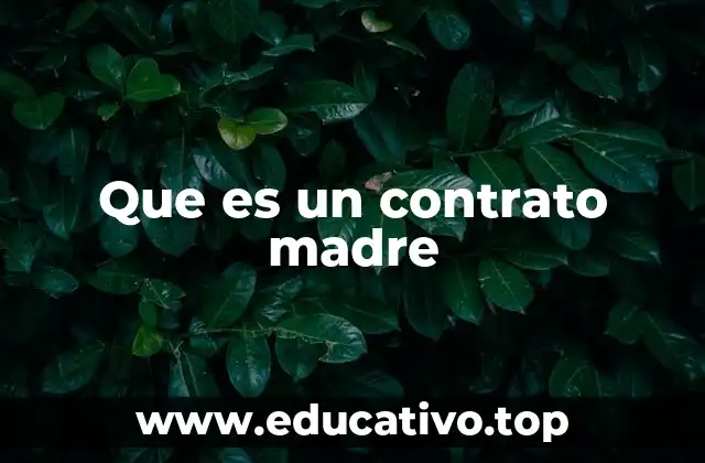 Que es un contrato madre