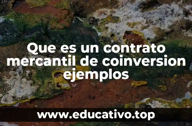 Que es un contrato mercantil de coinversion ejemplos