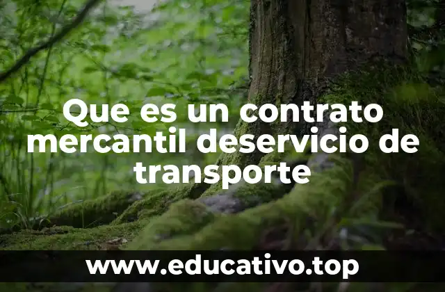 El papel del contrato en la operación logística