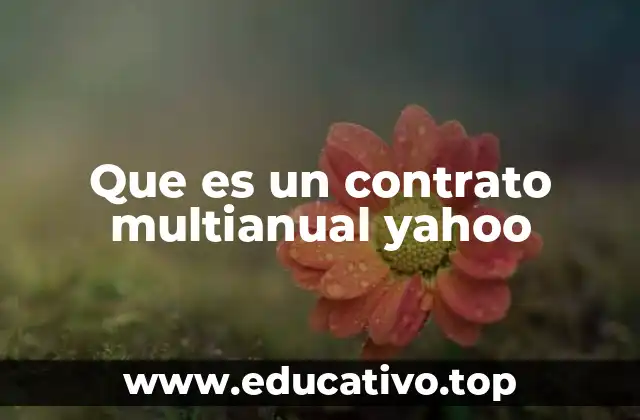 Que es un contrato multianual yahoo