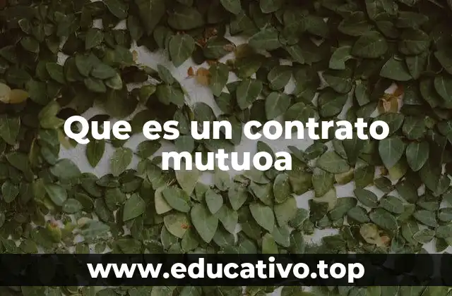 Que es un contrato mutuoa