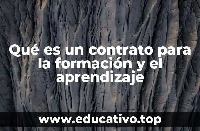 Qué es un contrato para la formación y el aprendizaje