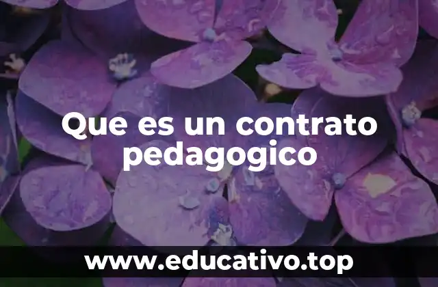 Que es un contrato pedagogico