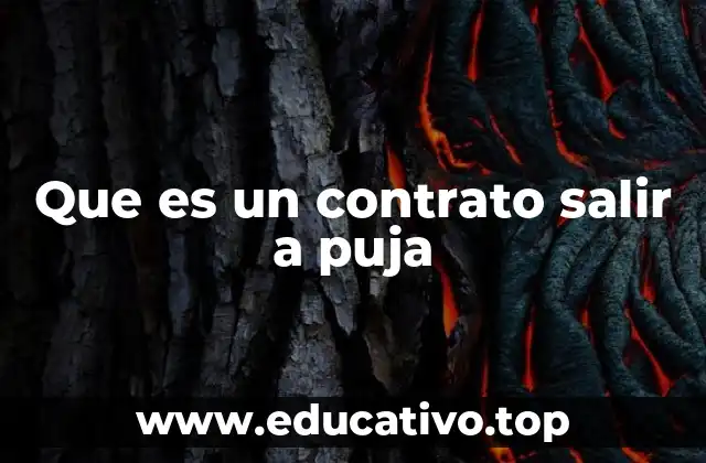 Que es un contrato salir a puja