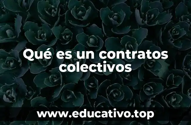 Qué es un contratos colectivos