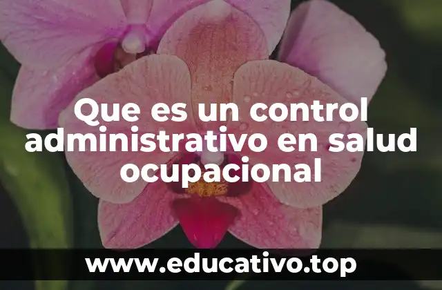 Que es un control administrativo en salud ocupacional