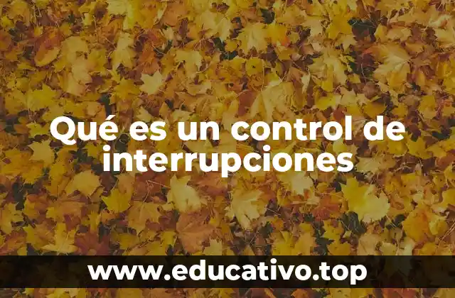 Qué es un control de interrupciones