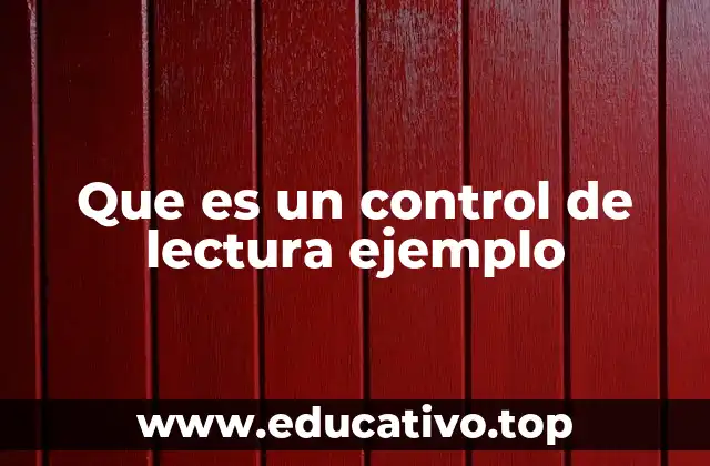 Que es un control de lectura ejemplo