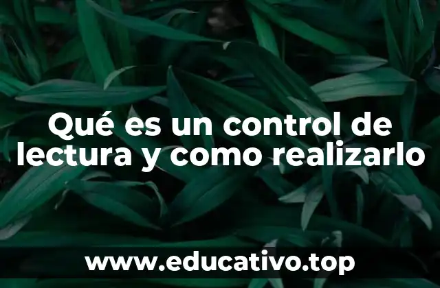 Qué es un control de lectura y como realizarlo