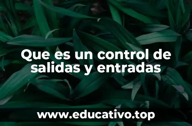 Que es un control de salidas y entradas