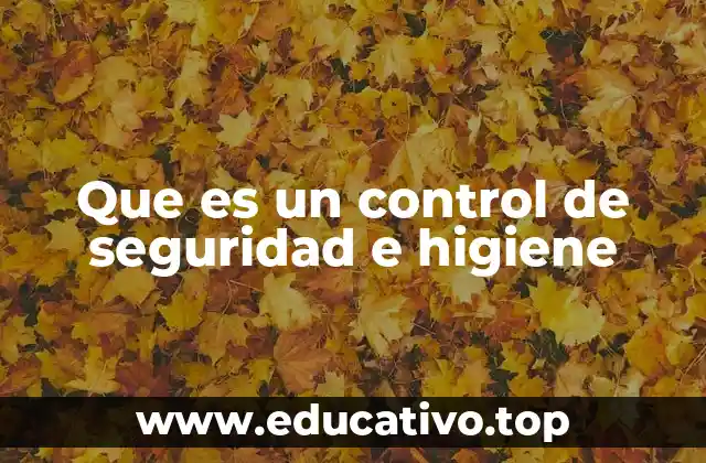 Que es un control de seguridad e higiene