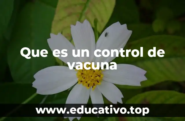 Que es un control de vacuna
