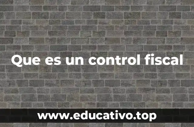 Que es un control fiscal