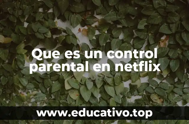 Que es un control parental en netflix