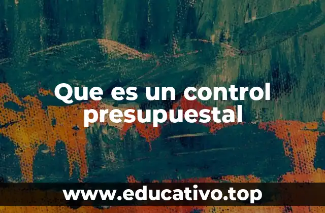 Que es un control presupuestal