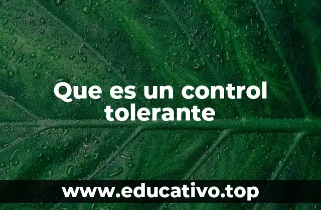 Que es un control tolerante