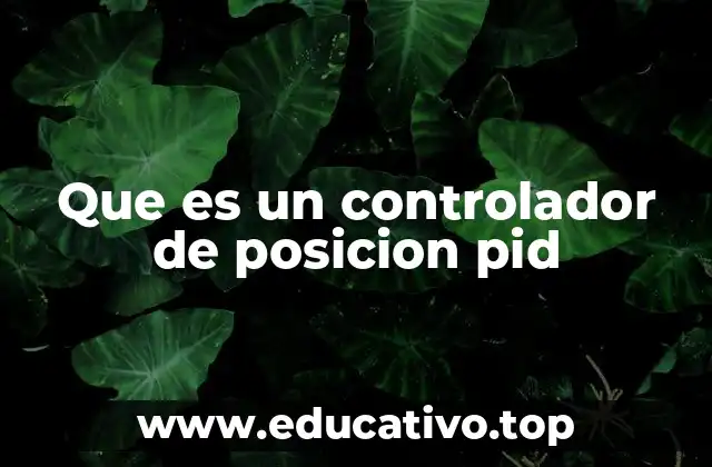 Que es un controlador de posicion pid
