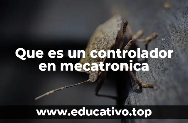Que es un controlador en mecatronica