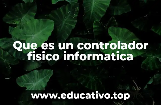 Que es un controlador fisico informatica