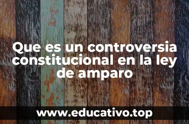 Que es un controversia constitucional en la ley de amparo