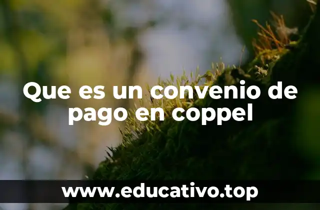 Que es un convenio de pago en coppel