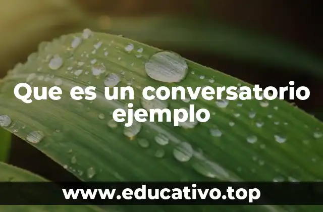 Que es un conversatorio ejemplo