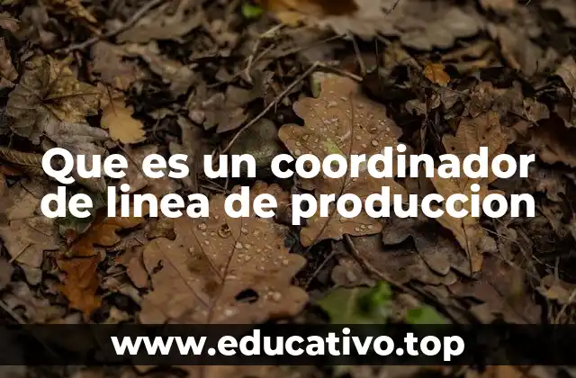 Que es un coordinador de linea de produccion