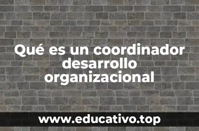 Qué es un coordinador desarrollo organizacional