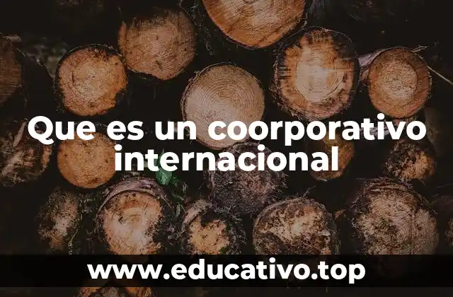 Que es un coorporativo internacional