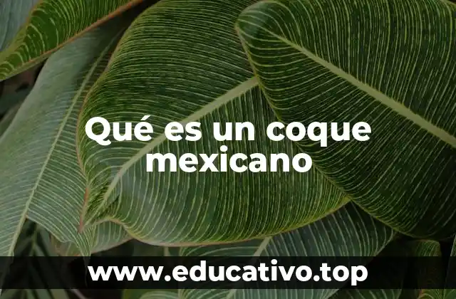 Qué es un coque mexicano