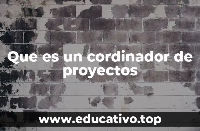 Que es un cordinador de proyectos