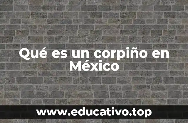 La importancia del corpiño en la vestimenta tradicional mexicana