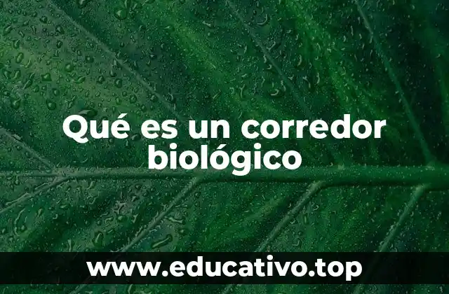 Qué es un corredor biológico