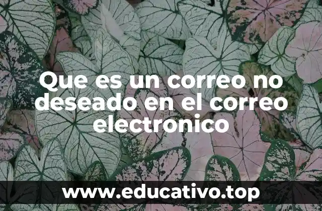 Que es un correo no deseado en el correo electronico