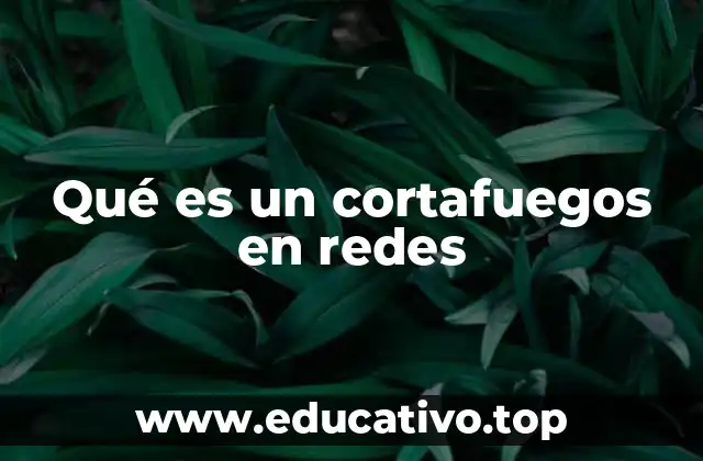 La importancia de los cortafuegos en la seguridad informática