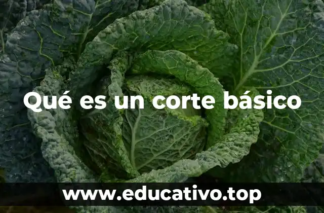 Qué es un corte básico