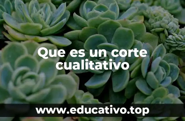 Que es un corte cualitativo