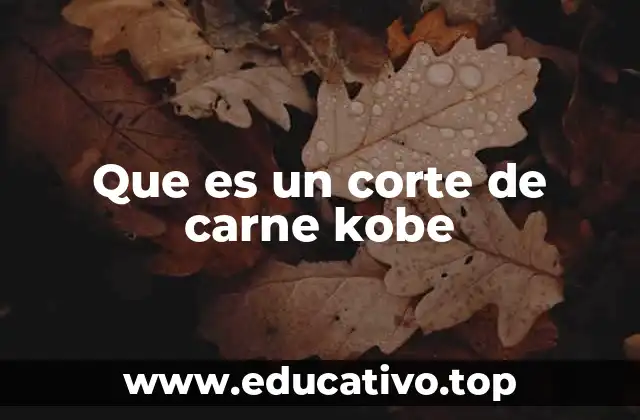 Que es un corte de carne kobe