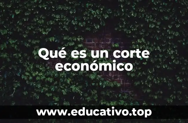 Qué es un corte económico