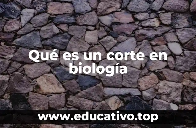 Qué es un corte en biología