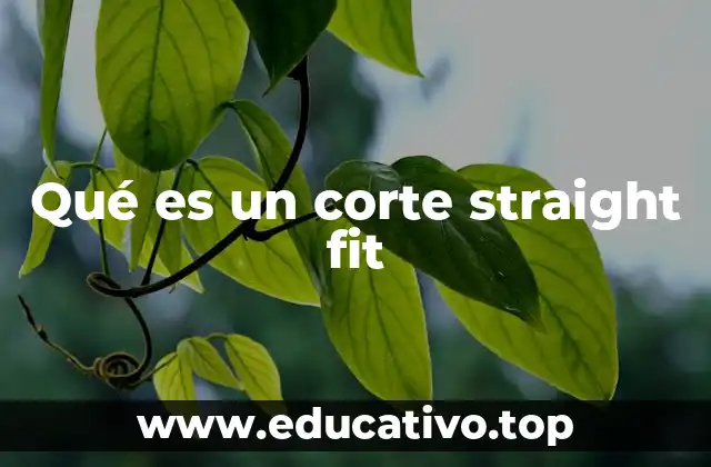 Qué es un corte straight fit
