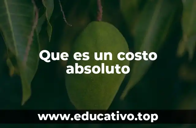 Que es un costo absoluto