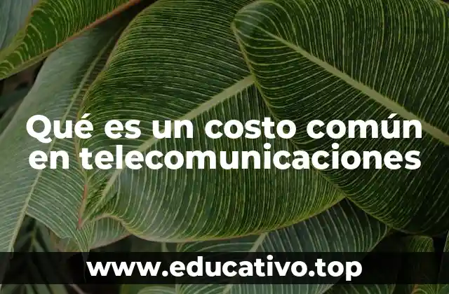 Qué es un costo común en telecomunicaciones