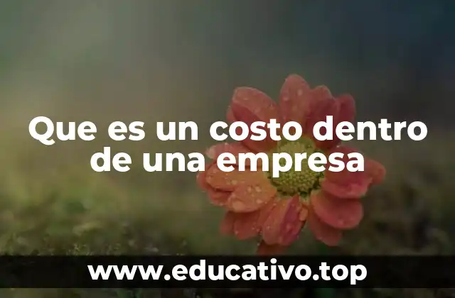 Que es un costo dentro de una empresa