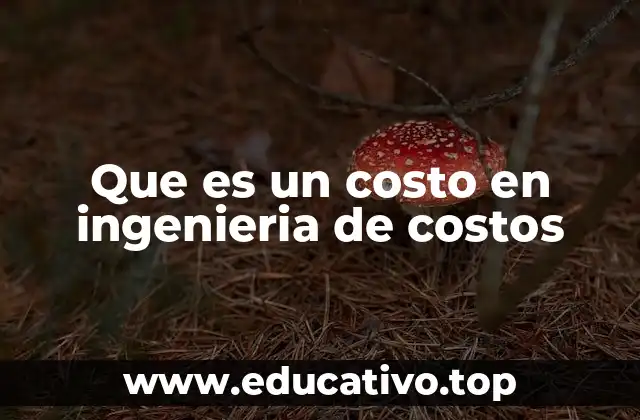 Que es un costo en ingenieria de costos