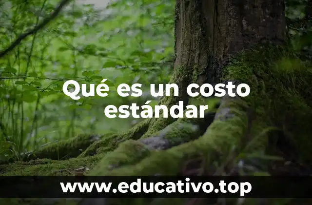 Qué es un costo estándar
