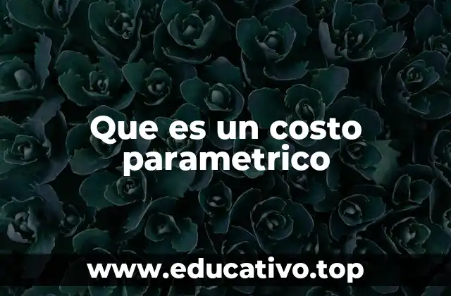 Que es un costo parametrico