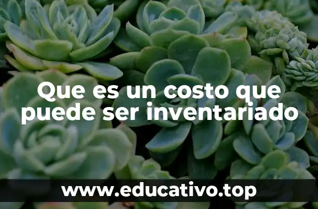 Que es un costo que puede ser inventariado