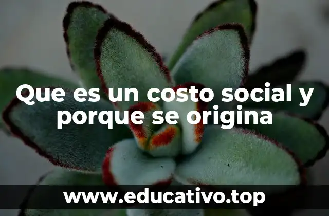 Que es un costo social y porque se origina