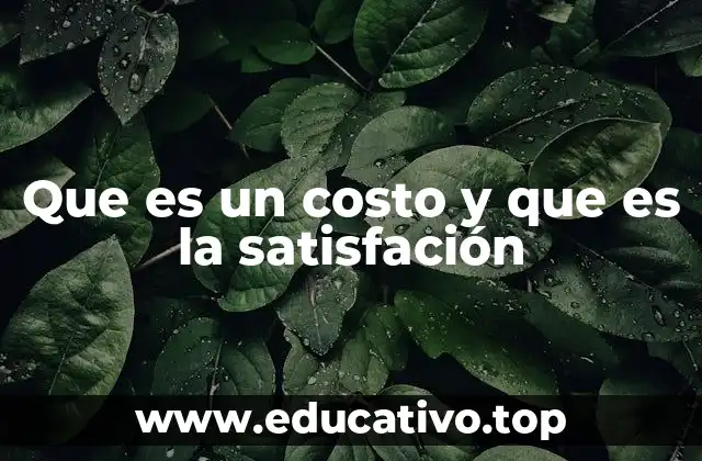 Que es un costo y que es la satisfación